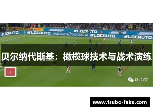 贝尔纳代斯基：橄榄球技术与战术演练